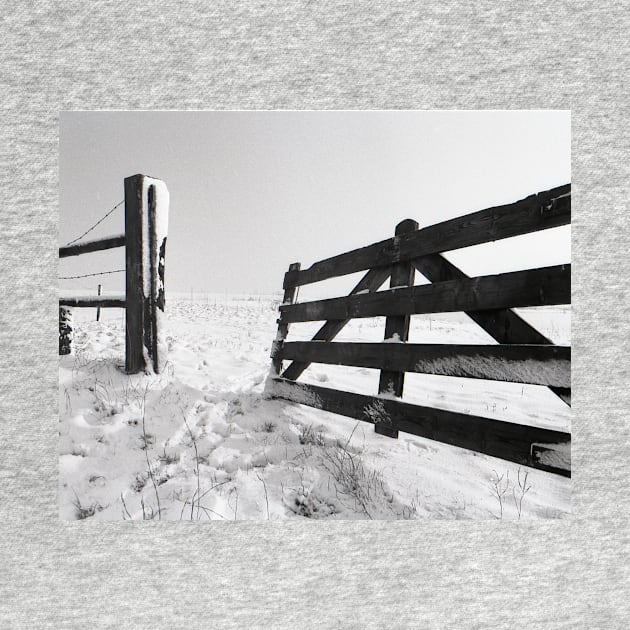 Open Fence in Wintertime by robelf